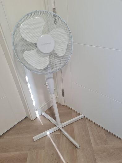 fan