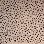 Dalmatian wallpaper 16sq metres Image 3
