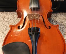 Violin