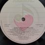 Paddy Reilly's Ireland Volume One & Two 2 x Vinyl LP's (1986) Folk NEAR MINT Image 4