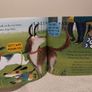 Don,t Call Me Choochie Pooh Children,s Story Book Image 6