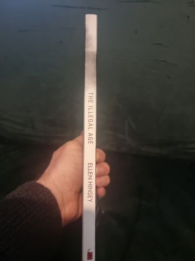 The Illegal Age (Soft cover)