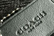 coach
