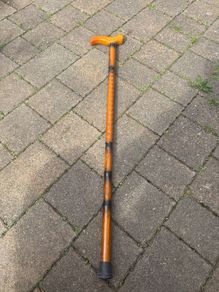 walking stick