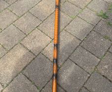 walking stick