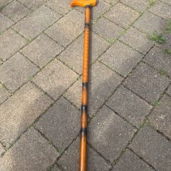 walking stick