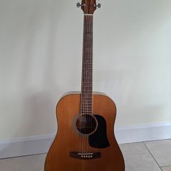Acoustic Guitar