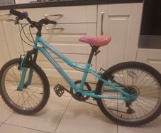 20" kids mountain bike