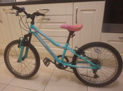 20" kids mountain bike