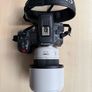Canon RF 70-200mm F4 IS Macro Image 2
