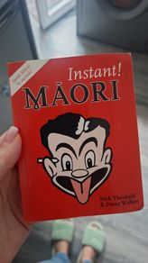 How to learn Maori book