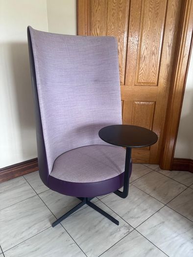 Brunner ray lounge executive chairs