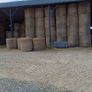 Hay Image 2