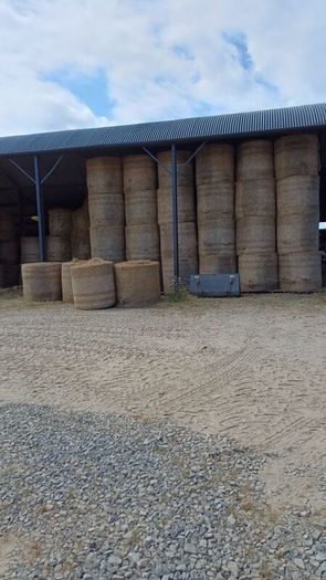 Hay