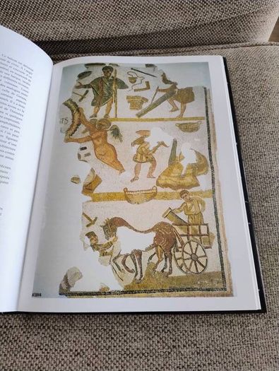 La Mosaique en Tunisie the mosaics of Tunisia large coffee table book in very good condition with no issues 270 pages with lots of pictures etc see photos FREE STANDARD POSTAGE INCLUDED
