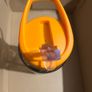 water bottle gym Image 6