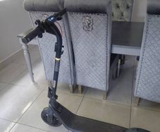 Electric scooter ninebot e2