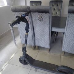Electric scooter ninebot e2