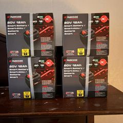 Parkside Performance Battery 12Ah