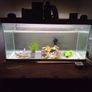 Fish Tanks For Sale Image 4