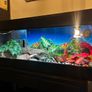 reptile vivarium Image 10