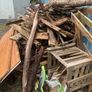 free timber Image 2