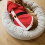 Dog Santa Costume Image 5