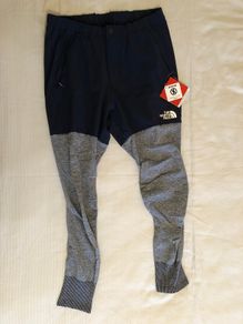 The North Face Engineered Hybrid Pants\