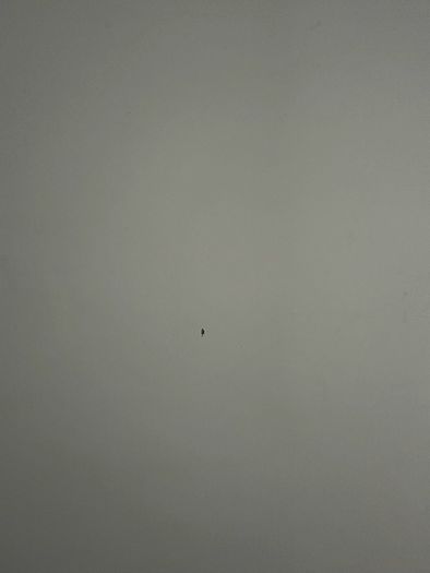 IKEA Desk Top (140x60 cm) with 2 Legs