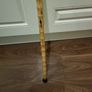Walking stick Image 4