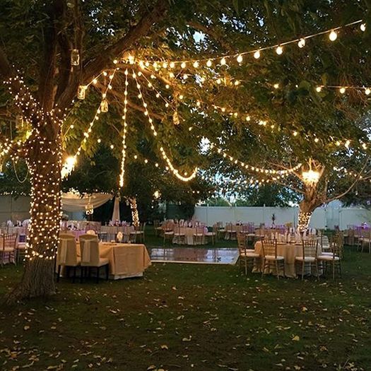 Outdoor String Lights LED Mains Powered G40 Globe Festoon Lights 100FT with 50+2 Bulbs, Waterproof Indoor Outdoor Garden Lights for Bistro, Terrace, Patio, Outside, Wedding, WarmWhite 2700K (FREE POSTAGE)