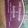Vintage 1986 GAA Hurling Programme Kilkenny v Galway (All-Ireland Semi-Final) Image 8