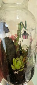 small terrarium