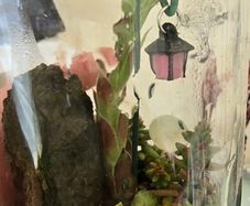 small terrarium