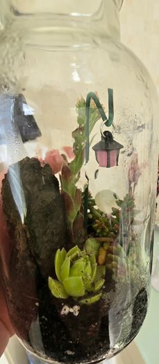 small terrarium