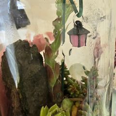 small terrarium