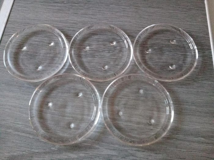 Pillar Candles & Glass Candle Holders