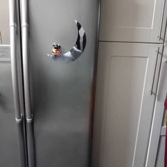 LG fridge freezer