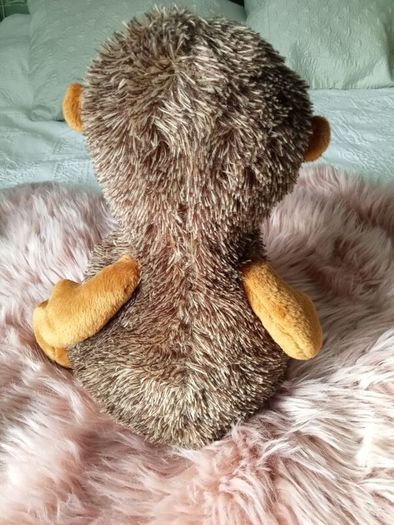 Soft Toy Hedgehog