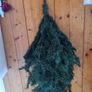 Christmas tree Image 4