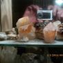 geodes Image 4