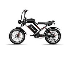 AMYET S8 Electric Bike dual motor 25Ah