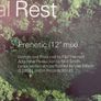 Orbital - Rest & Play ( Frenetic & Chime Live Style Remix) - 12" Vinyl EP - 2002 FFRR Recordings Image 7