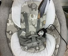 Joie Electric Swing