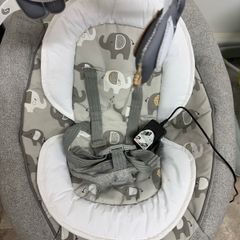 Joie Electric Swing