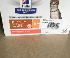Hills kidney care cat food, 18 pouches