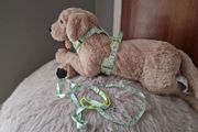 dog harness set