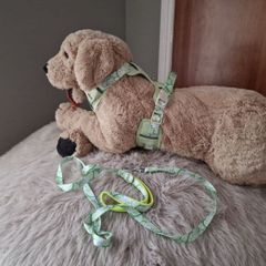 dog harness set