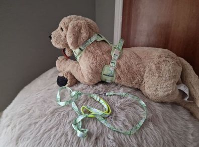 dog harness set