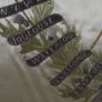 Highland Light Infantry. Framed Silk Image 7